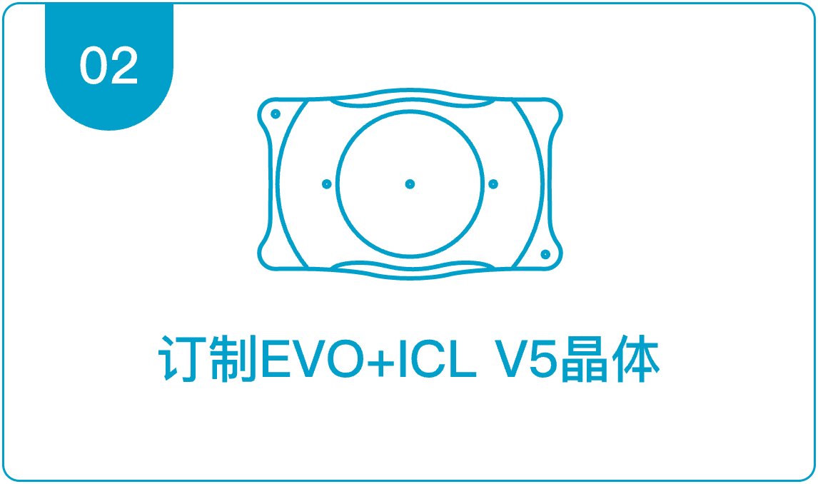 定制EVO+iclV5晶体